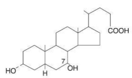 Pill image for Ursodiol Capsules, Usp