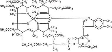 Pill image for Cyanocobalamin Injection, Usp