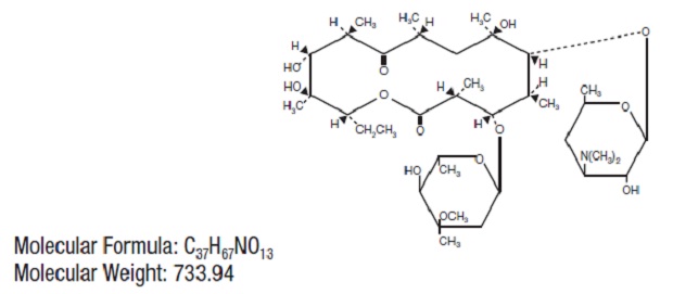 Pill image for Erythromycin Ophthalmic Ointment Usp