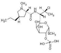 Pill image for These Highlights Do Not Include All The Information Needed To Use Clindamycin Phosphate 1.2% And Tretinoin 0.025% Gel Safely And Effectively. See Full Prescribing Information For Clindamycin Phosphate 1.2% And Tretinoin 0.025% Gel.