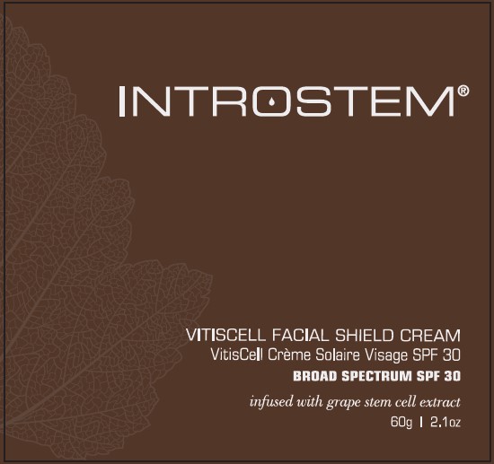 Pill image for introstem®