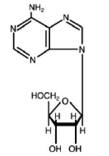 Pill image for Adenosine Injection, Usp