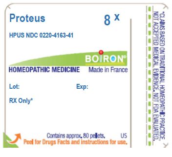 Pill image for proteus 8x
