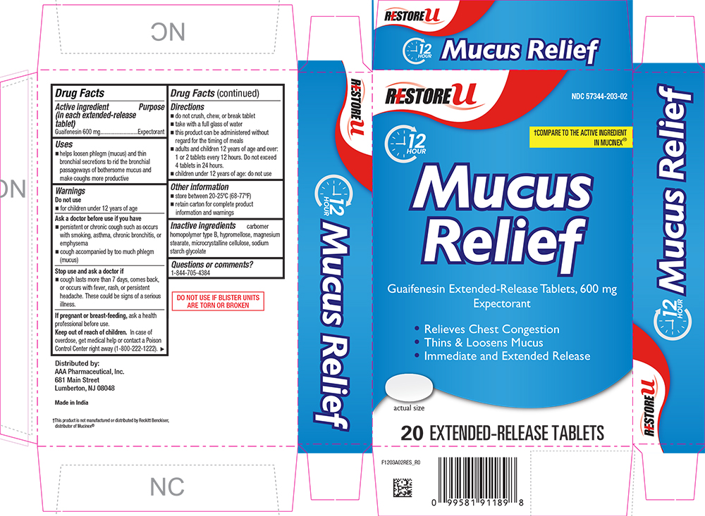 Pill image for 1203-res-2024-0613