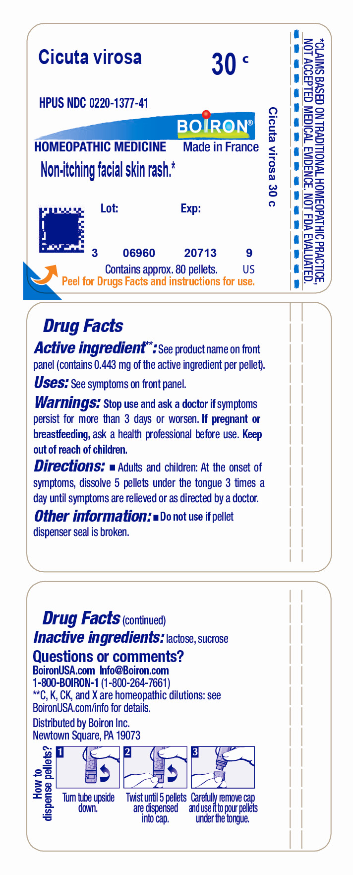 Pill image for Cicuta Virosa 30c