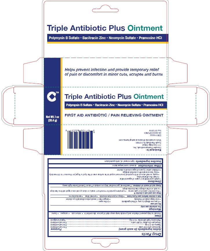 Pill image for Triple Antibiotic Plus Ointment