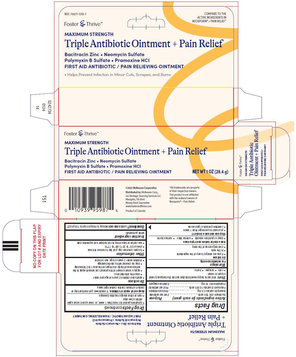Pill image for Triple Antibiotic Ointment + Pain Relief