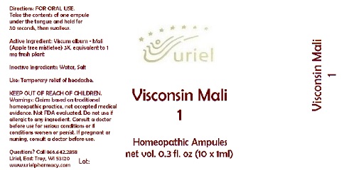Pill image for Visconsin Mali 1