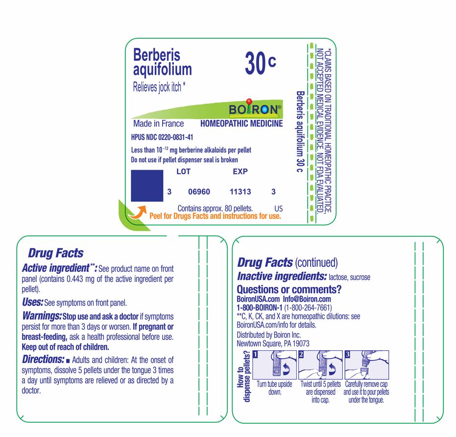 Pill image for Berberis Aquifolium 30c