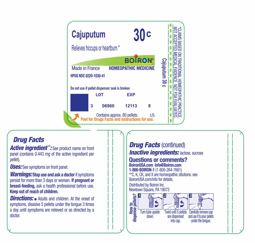 Pill image for Cajuputum 30c