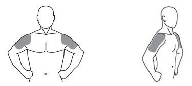 Pill image for These Highlights Do Not Include All The Information Needed To Use Testosterone Gel, 1.62% Safely And Effectively. See Full Prescribing Information For Testosterone Gel, 1.62%.