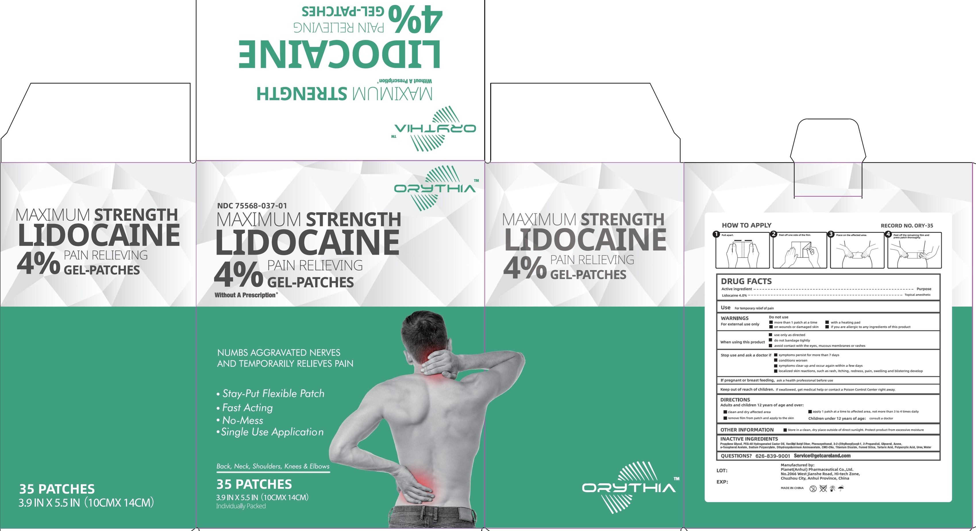 Pill image for Orythia Maximum Strength 4% Lidocaine Pain Relieving Gel Patches