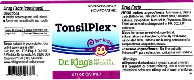 Pill image for Tonsilplex