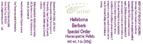 Pill image for Helleborus Berberis Special Order