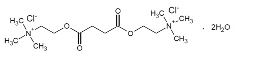Pill image for These Highlights Do Not Include All The Information Needed To Use Succinylcholine Chloride Injection Safely And Effectively. See Full Prescribing Information For Succinylcholine Chloride Injection.