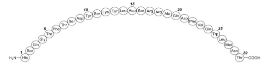 Pill image for These Highlights Do Not Include All The Information Needed To Use Glucagon For Injection Safely And Effectively. See Full Prescribing Information For Glucagon For Injection.