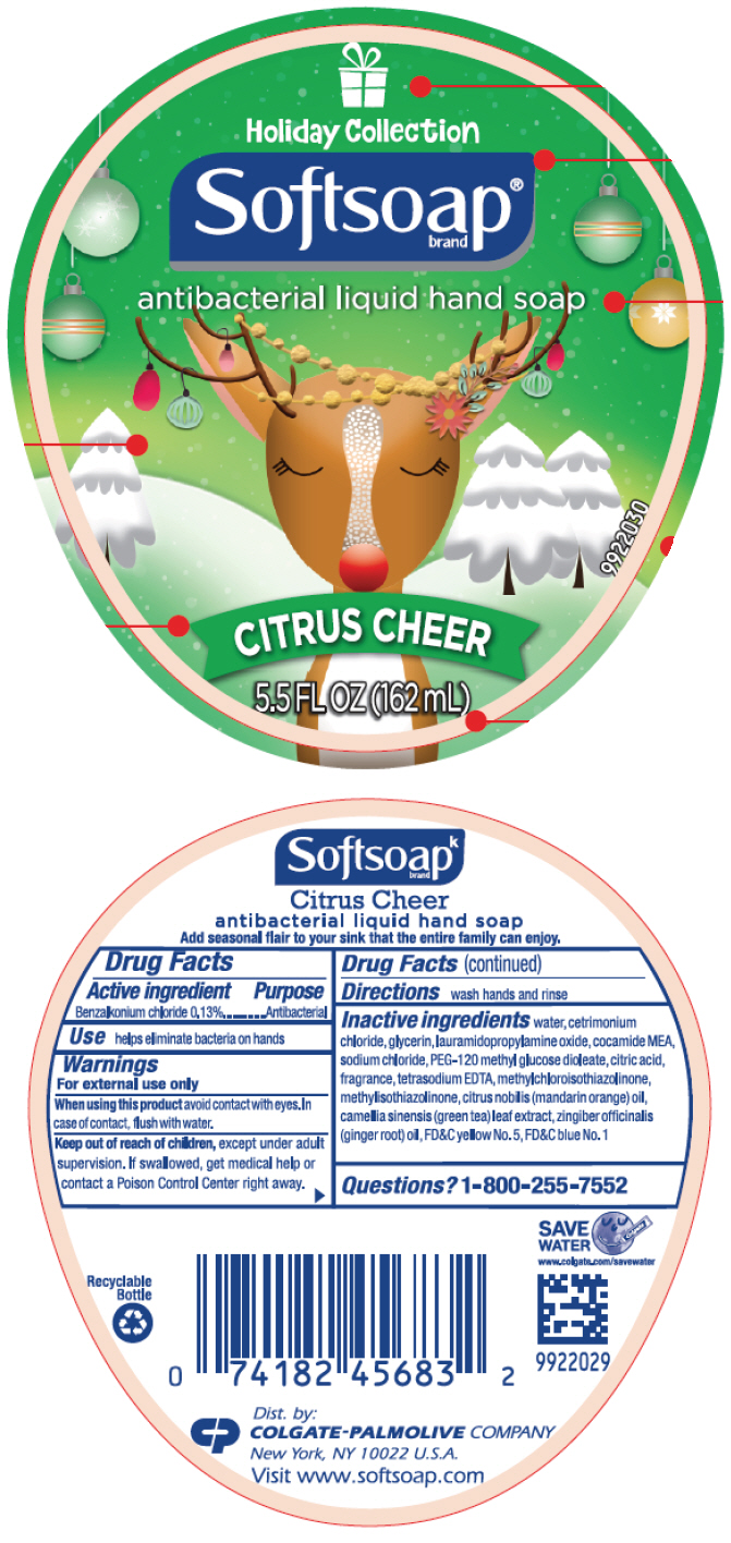 Pill image for Softsoap®