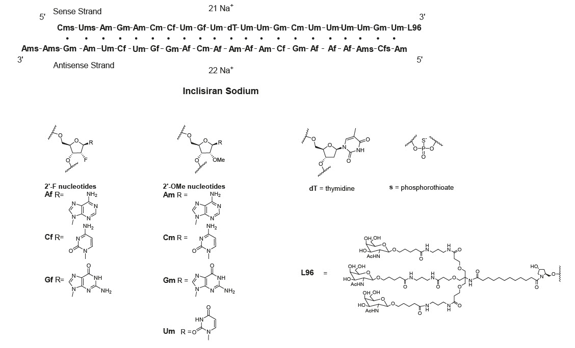 Pill image for these highlights do not include all the information needed to use leqvio safely and effectively. see full prescribing information for leqvio.