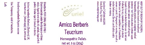 Pill image for Arnica Berberis Teucrium
