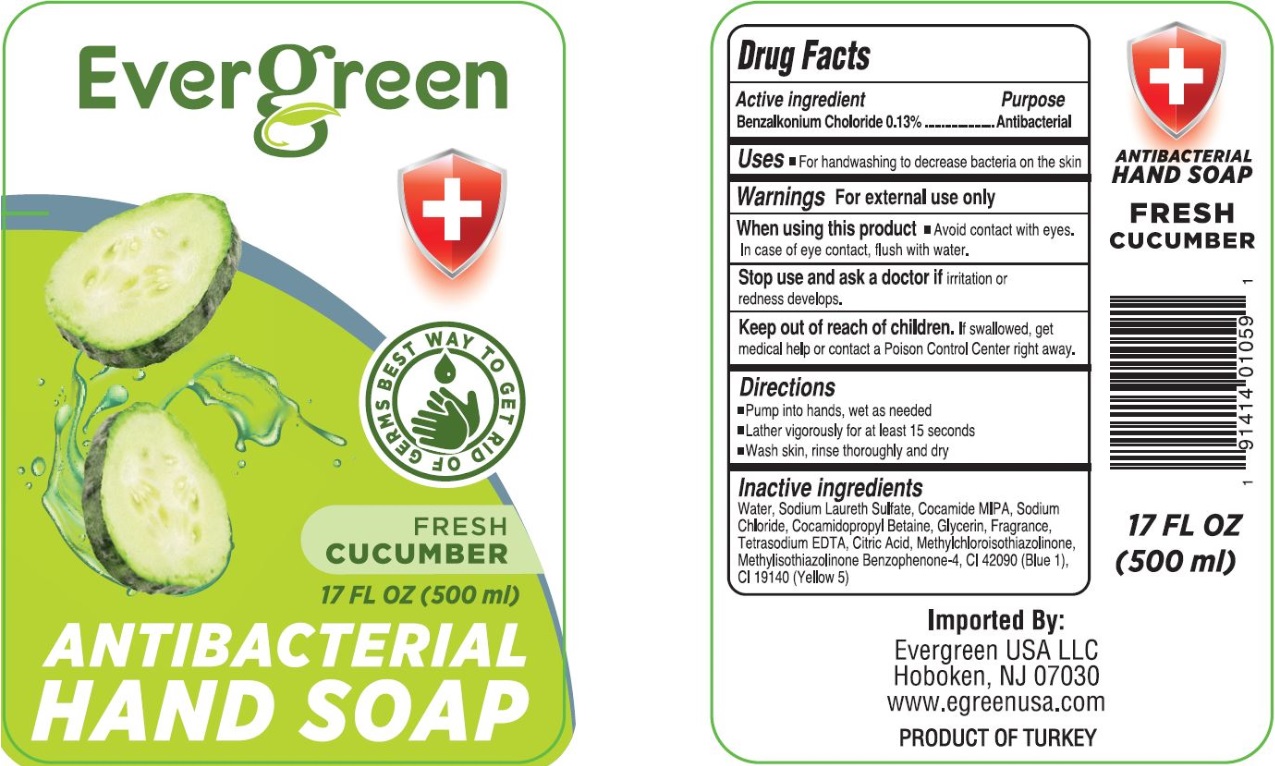 Pill image for Evergreen Fresh Cucumber ﻿antibacterial Hand Soap
