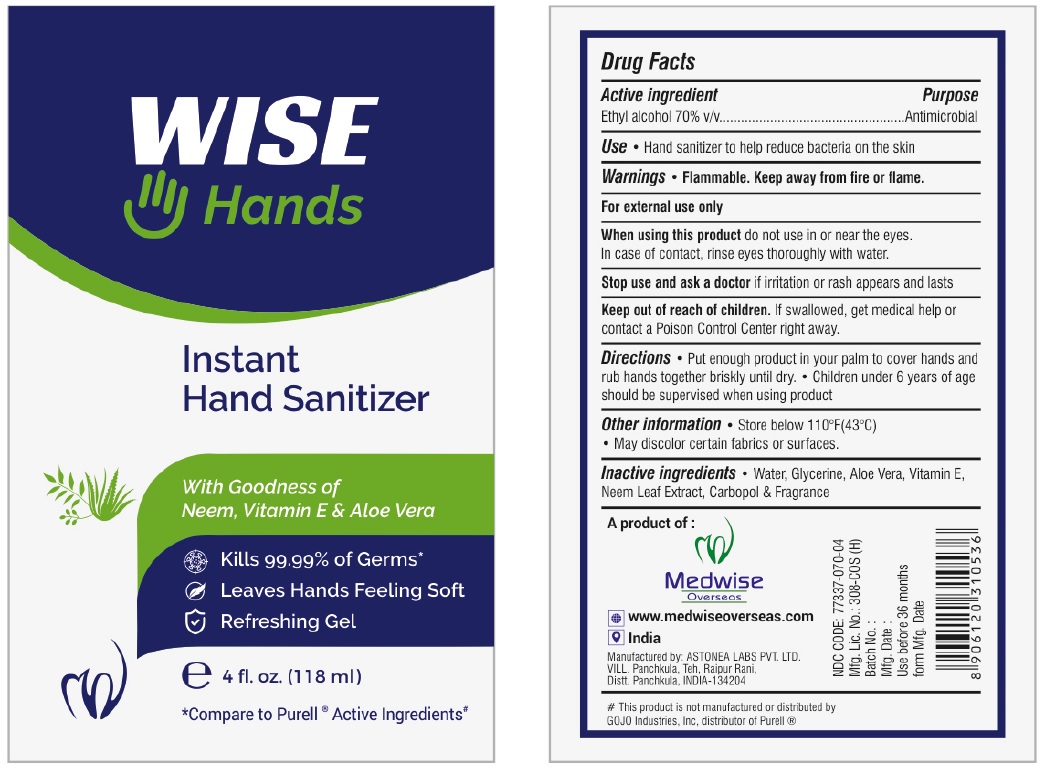 Pill image for Wise Hands Instant Hand Sanitizer
