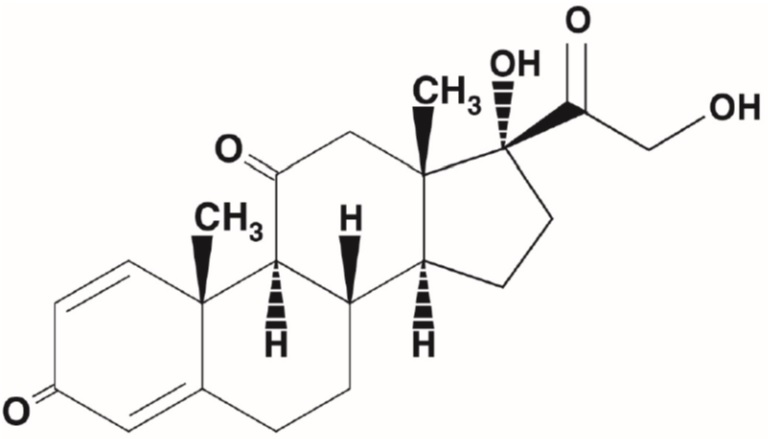 Pill image for Prednisone Tablets, Usp