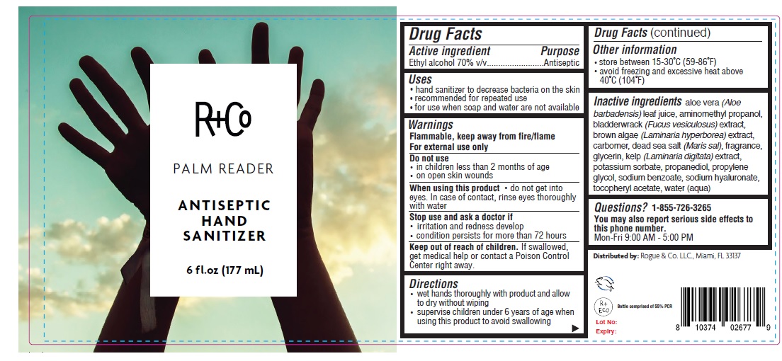Pill image for R And Co Antiseptic Hand Sanitizer