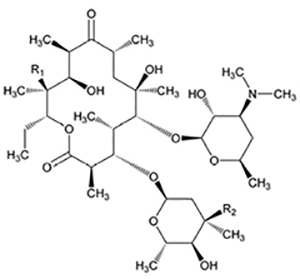 Pill image for Erythromycin Tablets, Usp
