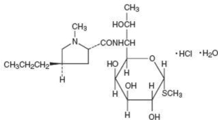 Pill image for Lincomycin Injection, Usp
