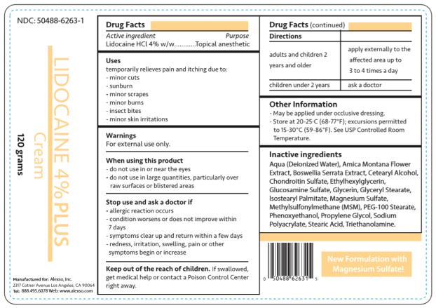 Pill image for Lidocaine 4 Percent Plus Cream