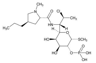 Pill image for Clindamycin Phosphate Topical Solution, Usp, 1%