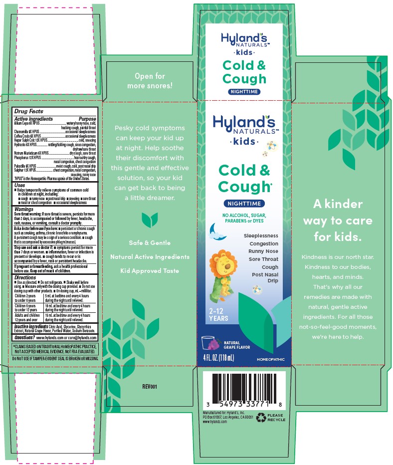Pill image for Hyland's Kids Cold & Cough Nighttime Natural Grape Flavor