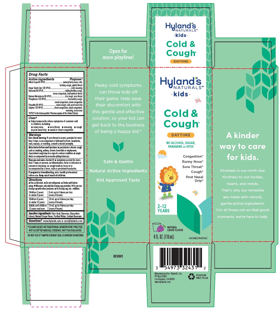 Pill image for Hyland's Kids Cold & Cough Daytime Natural Grape Flavor