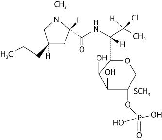 Pill image for These Highlights Do Not Include All The Information Needed To Use Clindamycin Phosphate And Tretinoin Gel 1.2% / 0.025% 