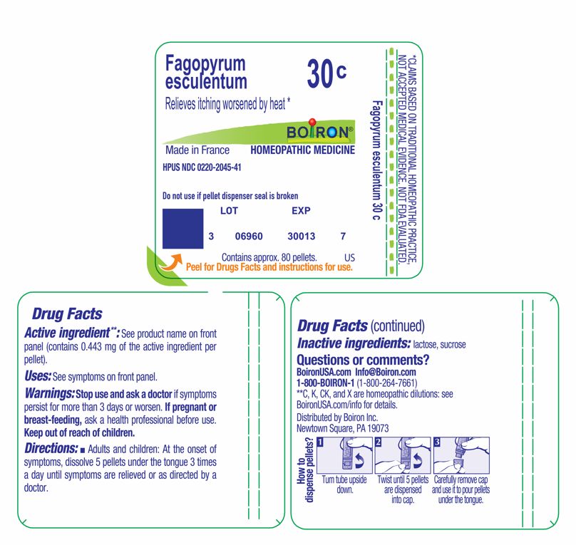 Pill image for fagopyrum esculentum 30c