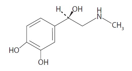 Pill image for These Highlights Do Not Include All The Information Needed To Use Epinephrine Injection Safely And Effectively. See Full Prescribing Information For Epinephrine Injection.