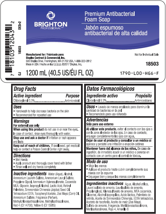 Pill image for Brighton Professional™ Premium Antibacterial Foam Soap