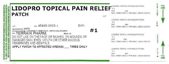 Pill image for Lidopro Patch