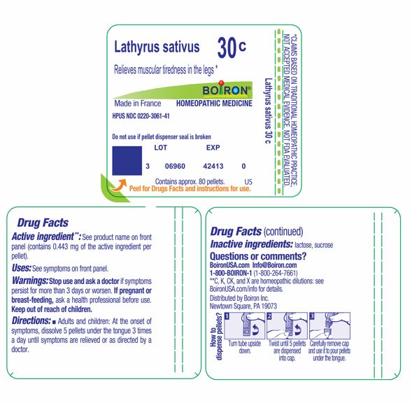 Pill image for lathyrus sativus 30c