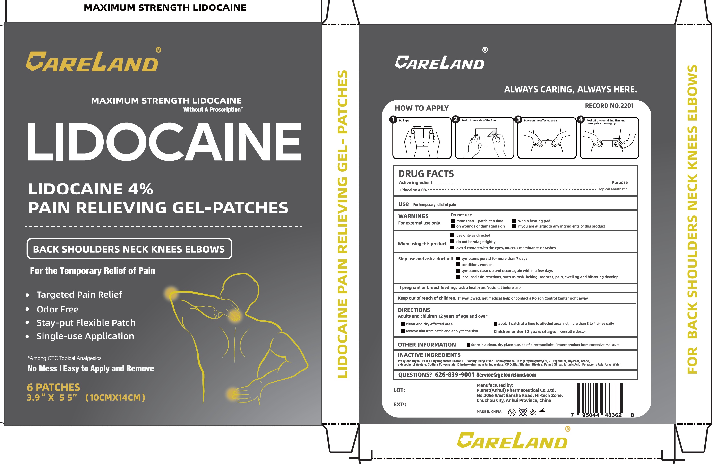 Pill image for Careland Lidocaine 4% Pain Relieving Gel Patches