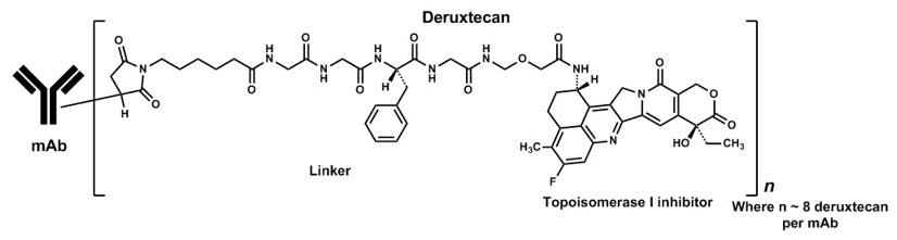 Pill image for These Highlights Do Not Include All The Information Needed To Use Enhertu Safely And Effectively. See Full Prescribing Information For Enhertu.
