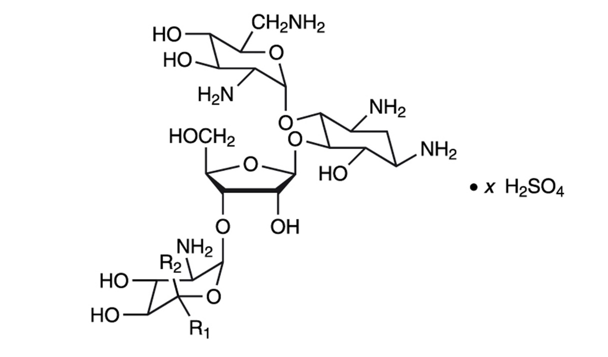 Pill image for Neomycin And Polymyxin B Sulfates And Dexamethasone Ophthalmic Ointment