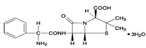 Pill image for Ampicillin Capsules, Usp