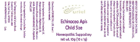 Pill image for Echinacea Apis Child Size