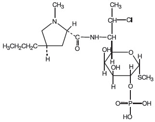 Pill image for Clindamycin Phosphate Gel Usp, 1%