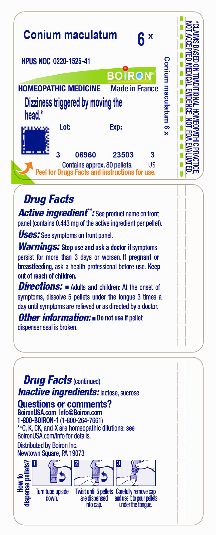 Pill image for Conium Maculatum 6x
