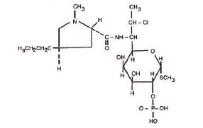 Pill image for Clindamycin Phosphate Topical
