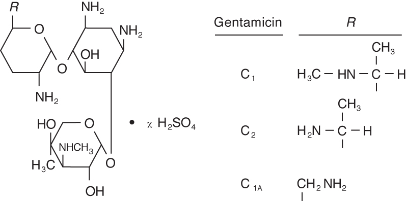 Pill image for Gentamicin Sulfate