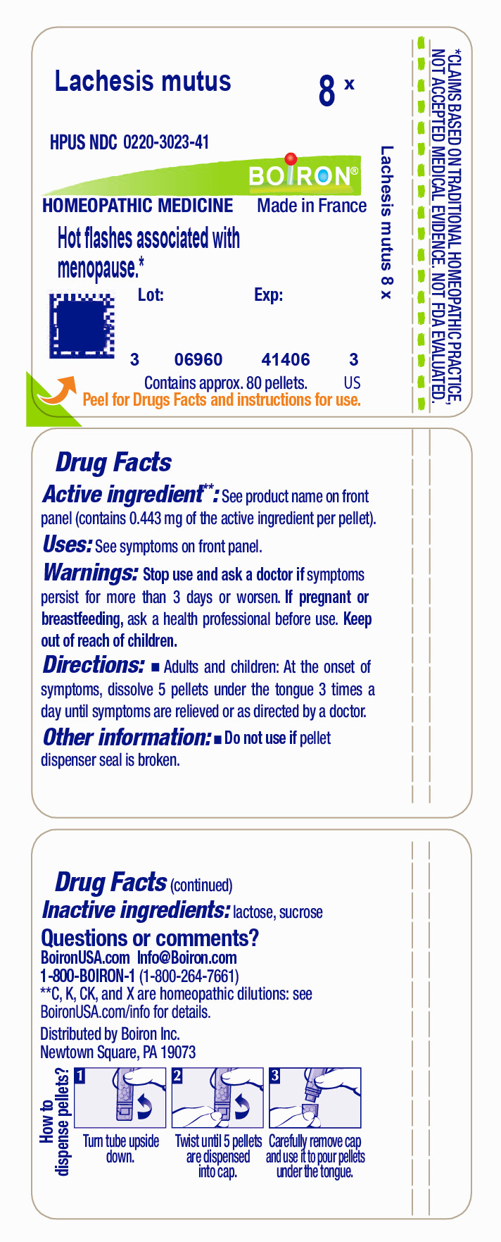 Pill image for Lachesis Mutus 8x