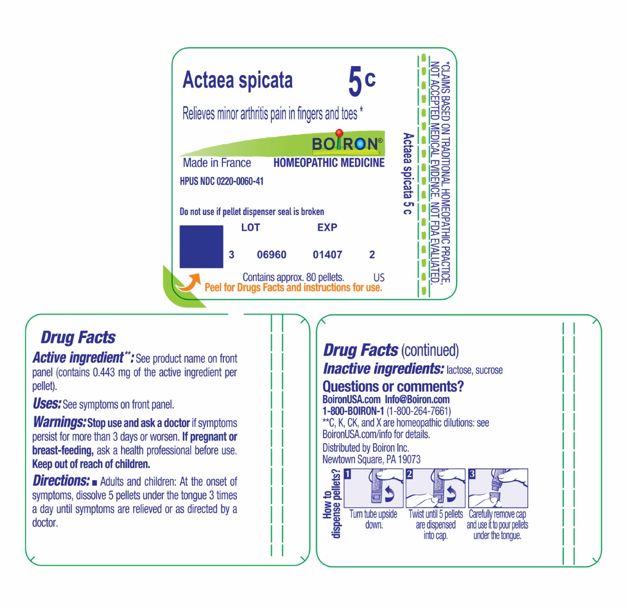 Pill image for Actaea Spicata 5c